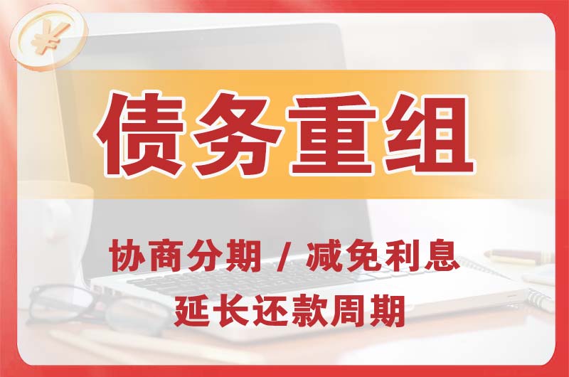 册亨债务重组