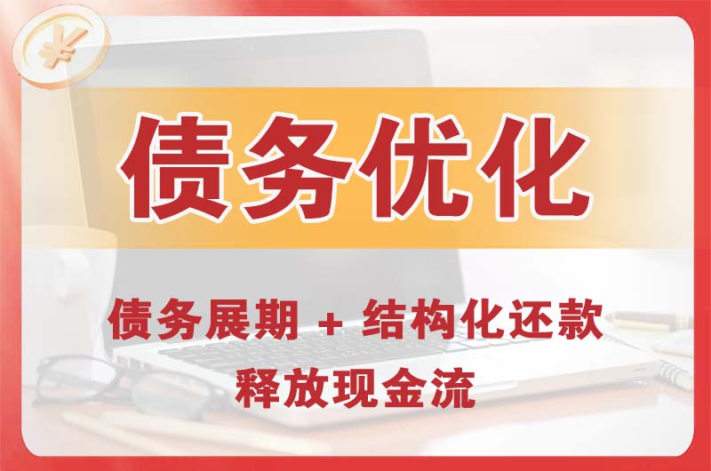 册亨债务优化