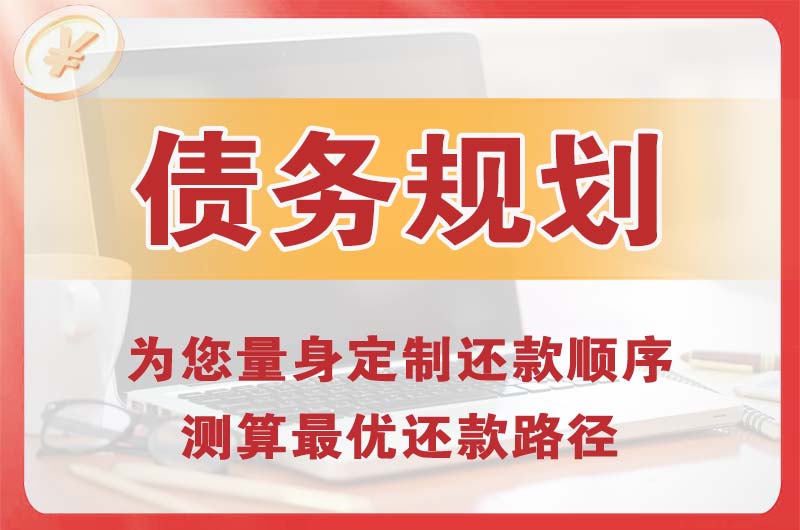册亨债务规划